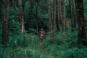 BIB: 
                            <button type="button" onclick="openModal(25236970)" class="btn btn-primary btn-sm float-right btn-popup" data-toggle="modal" data-target=".modal-high-quality">
                        <i class="fas fa-shopping-cart"></i> Add to Cart
                    </button>
                                            <button type="button" onclick="isThisMe(25236970, true)" class="btn btn-success btn-sm float-right btn-popup btn-isme hidden" data-toggle="tooltip" data-placement="bottom" title="นี่คือรูปของคุณใช่ไหม คลิกที่นี่เพื่อเอาเข้าอัลบั้ม">
                        <i class="fas fa-plus"></i> Add to album
                    </button>
                    <button type="button" onclick="isThisMe(25236970, false)" class="btn btn-warning btn-sm float-right btn-popup btn-isnotme hidden">
                        <i class="fas fa-ban"></i> Remove from album
                    </button>